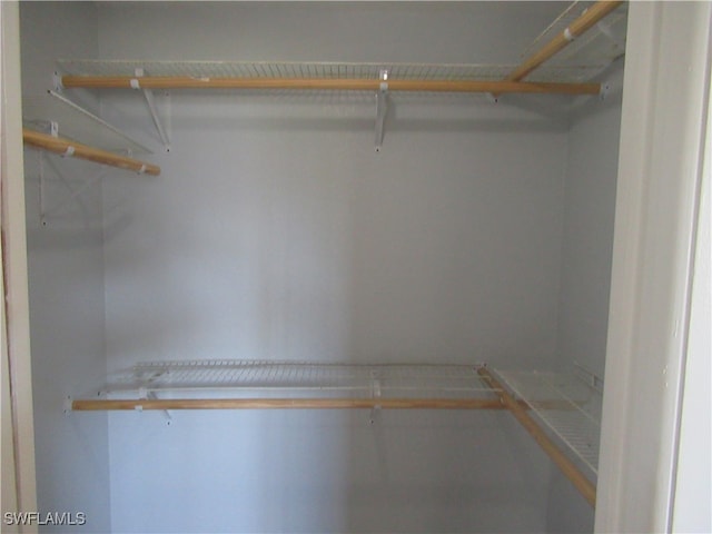 view of walk in closet