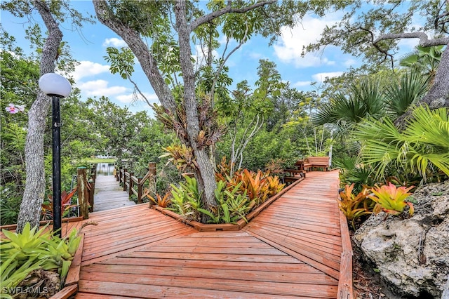 view of property's community featuring a boat dock