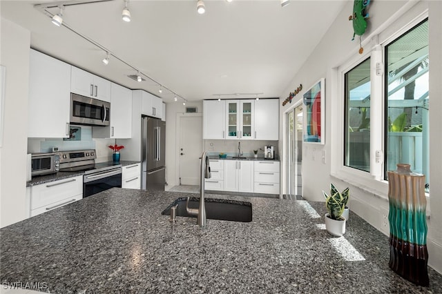 kitchen featuring white cabinetry, glass insert cabinets, stainless steel appliances, and a sink