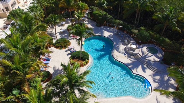 view of swimming pool with a patio