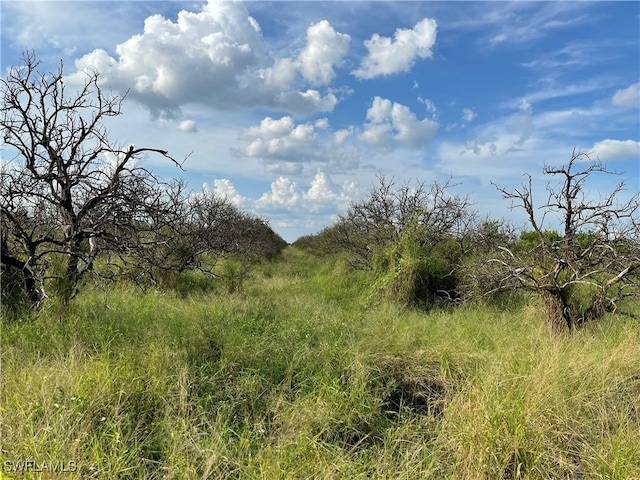 5th Rd, Labelle FL, 33935 land for sale