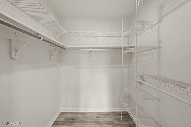 spacious closet with wood-type flooring