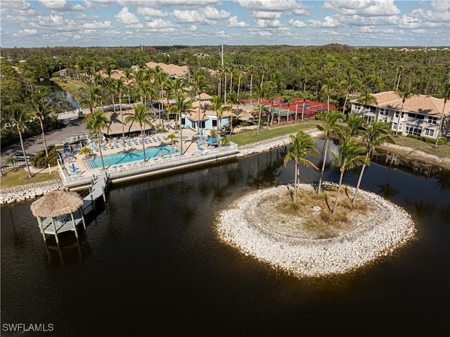 aerial view with a water view