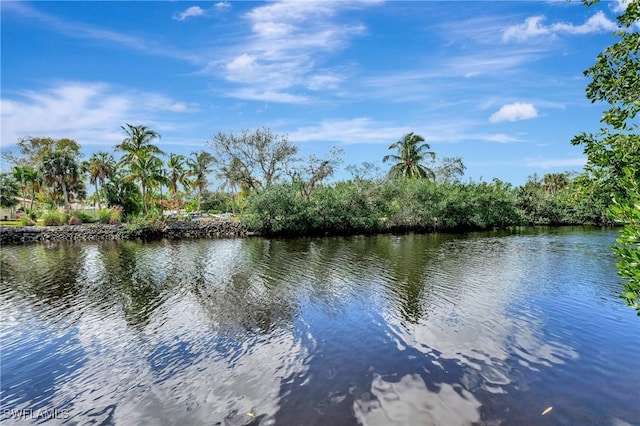 property view of water