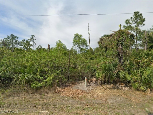 1145 Rachel St E, Lehigh Acres FL, 33974 land for sale