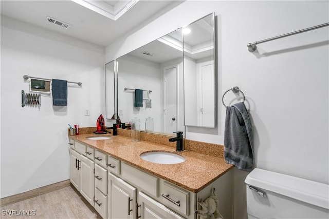 bathroom with vanity, toilet, a raised ceiling, and hardwood / wood-style floors