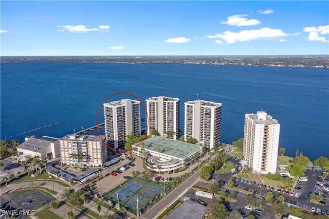 drone / aerial view with a water view