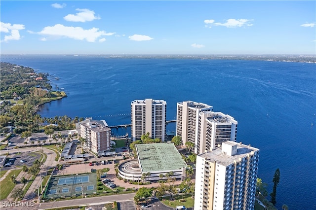 bird's eye view with a water view