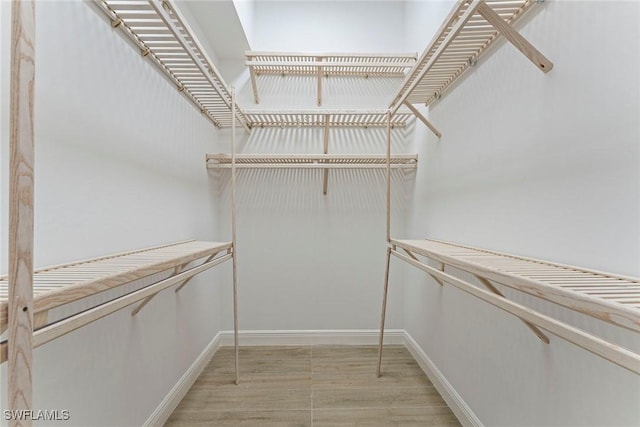 spacious closet featuring light wood-style flooring