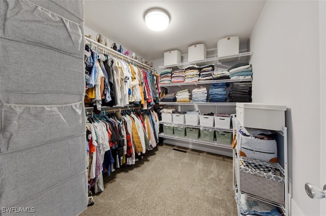 spacious closet with light colored carpet