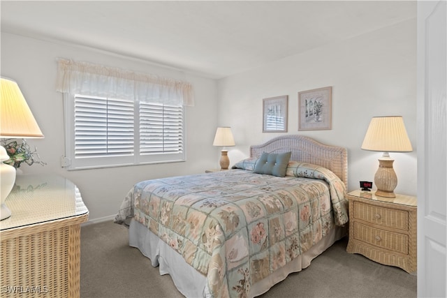 view of carpeted bedroom