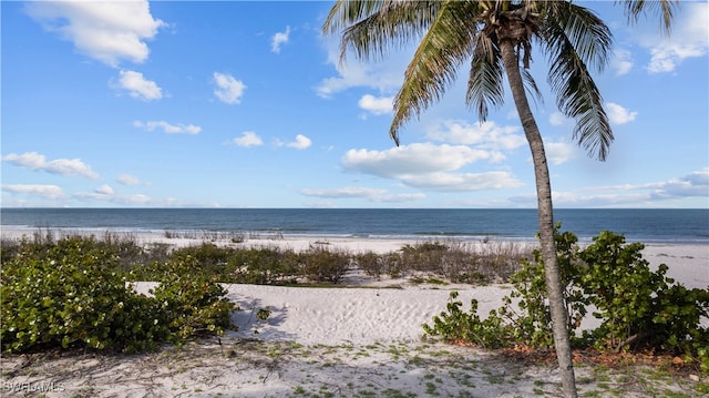 property view of water with a beach view