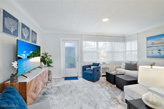 living room featuring crown molding