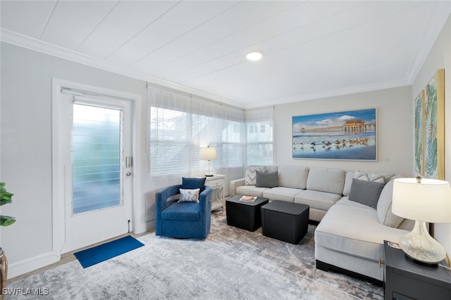 living room featuring ornamental molding and hardwood / wood-style floors