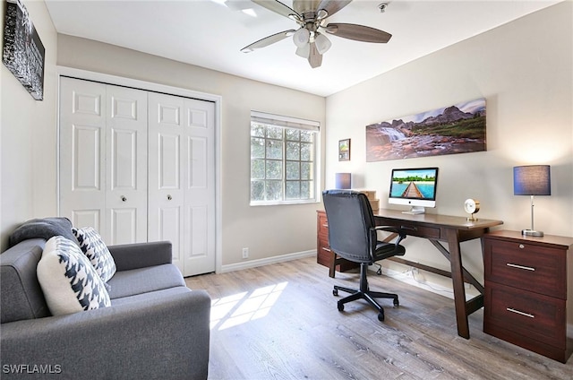 office with ceiling fan and light hardwood / wood-style floors