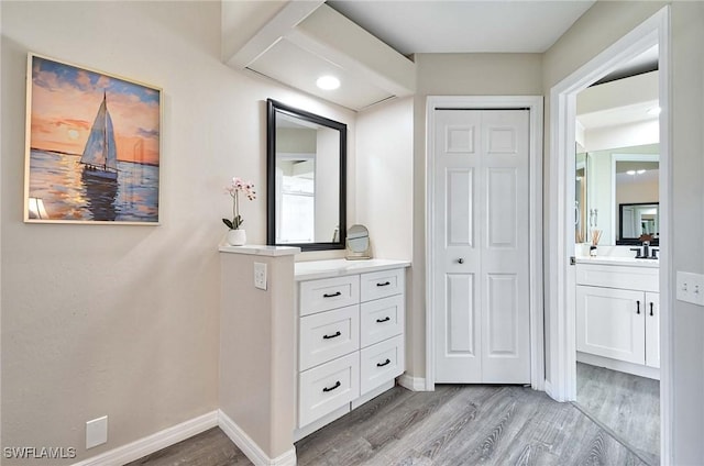 28080 Cavendish Ct Unit 2007, Bonita Springs, FL 34135 - bathroom with wood finished floors, vanity, and a closet