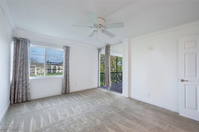 carpeted empty room with ceiling fan and crown molding