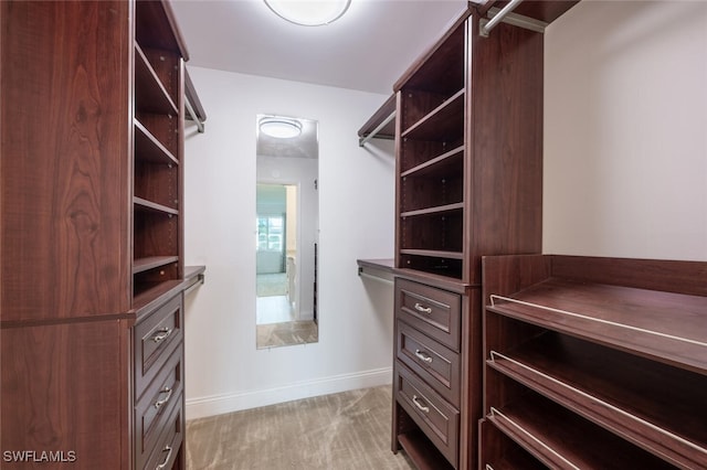 spacious closet with light colored carpet