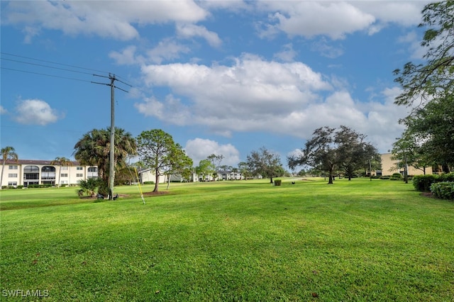 view of yard