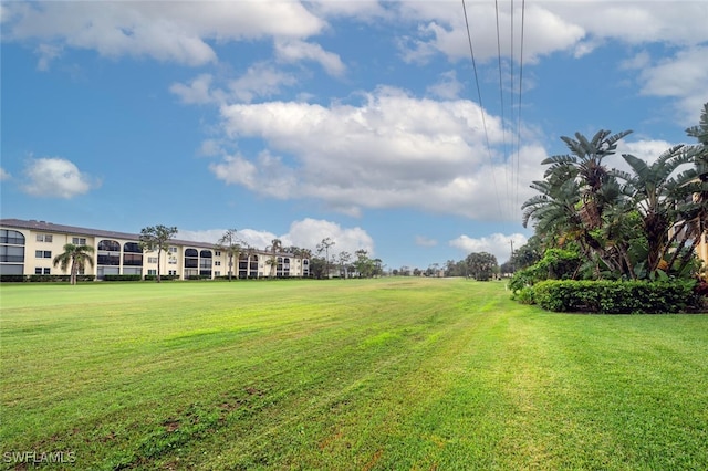 view of yard