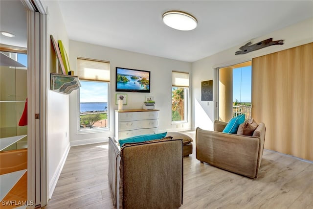 living room featuring a healthy amount of sunlight and light hardwood / wood-style flooring