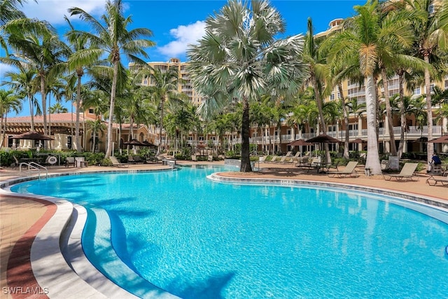 view of pool with a patio area