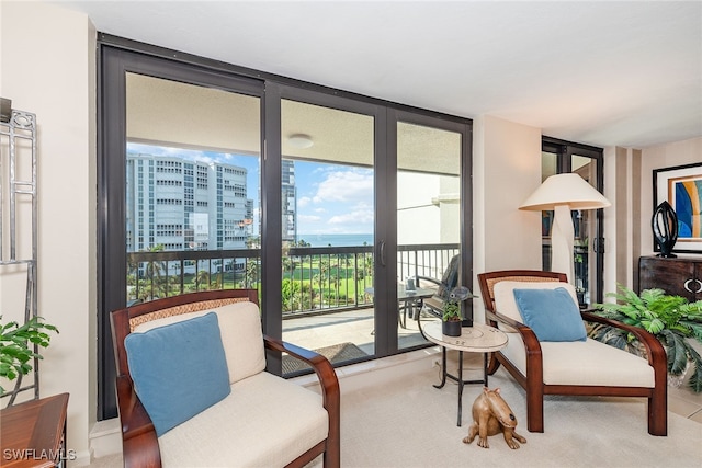 sitting room featuring expansive windows and carpet