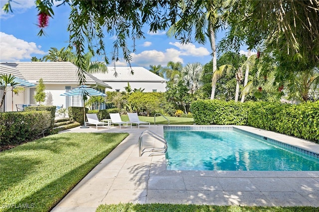 view of swimming pool featuring a patio area and a yard