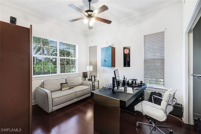 home office with crown molding, a wealth of natural light, dark hardwood / wood-style floors, and ceiling fan