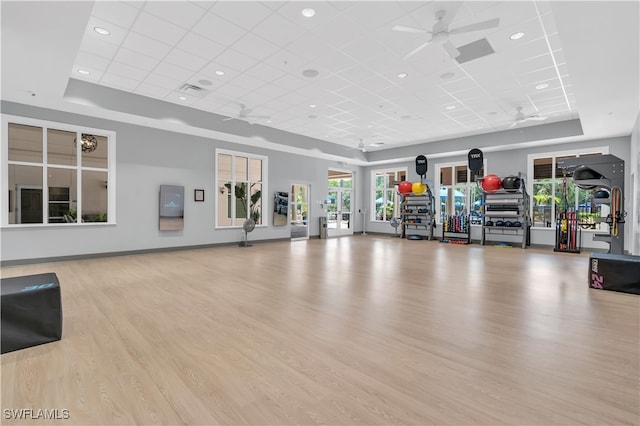 workout area with a drop ceiling, light hardwood / wood-style flooring, ceiling fan, and a tray ceiling