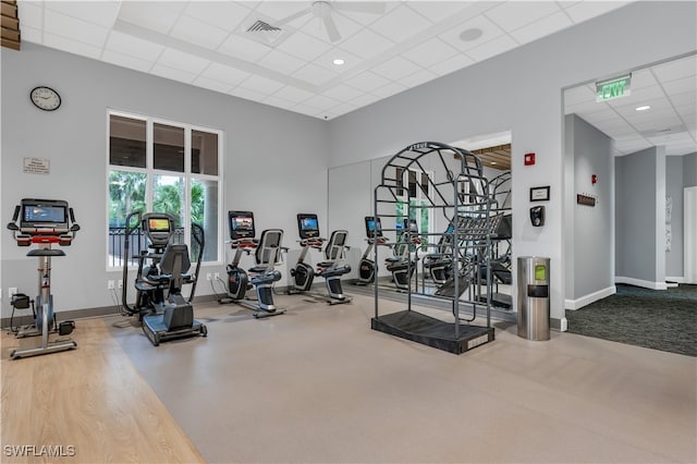 gym with a drop ceiling, hardwood / wood-style flooring, and ceiling fan