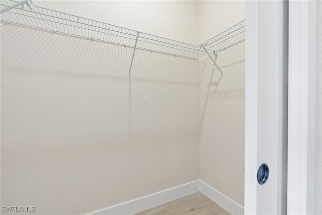 spacious closet featuring wood-type flooring