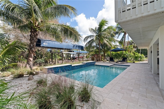 view of pool featuring a patio area