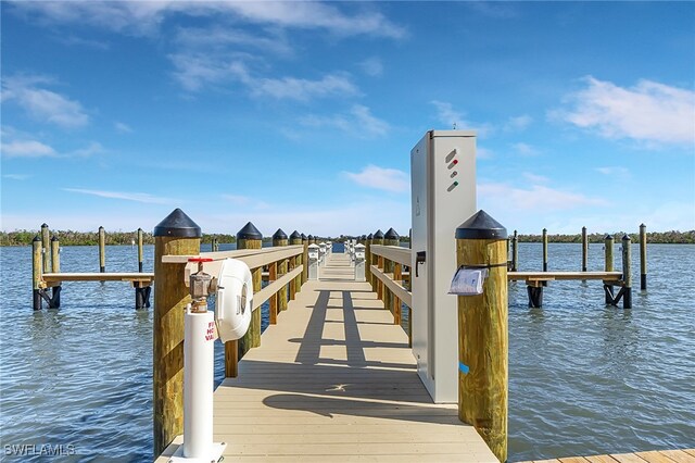 dock area with a water view