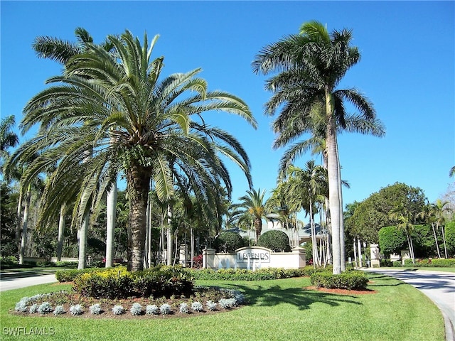 view of community with a yard