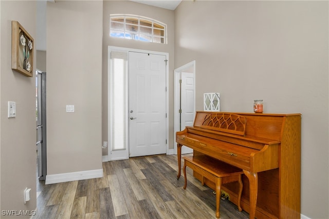 foyer entrance featuring a towering ceiling and wood-type flooring