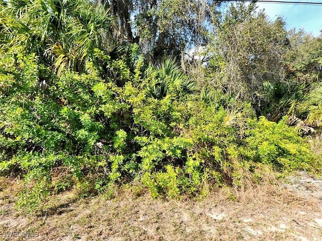 Pluto Ave, North Port FL, 34288 land for sale