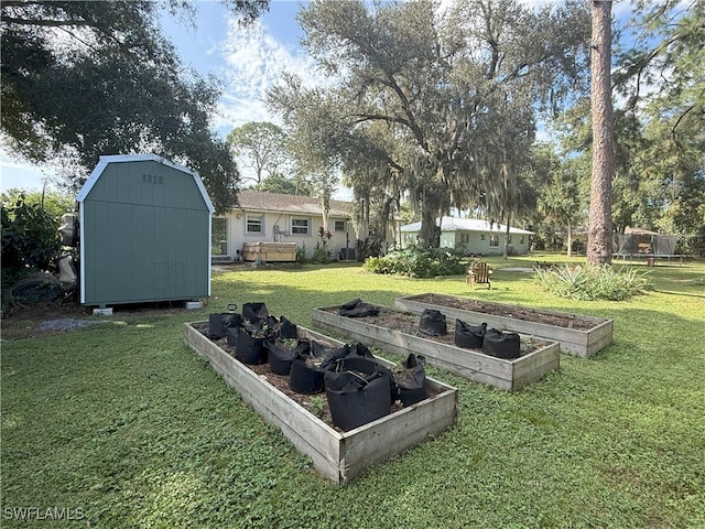 view of yard featuring a storage shed