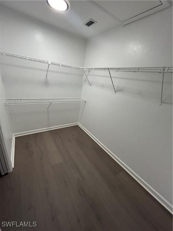 spacious closet featuring dark hardwood / wood-style floors