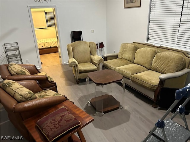 living room with hardwood / wood-style flooring