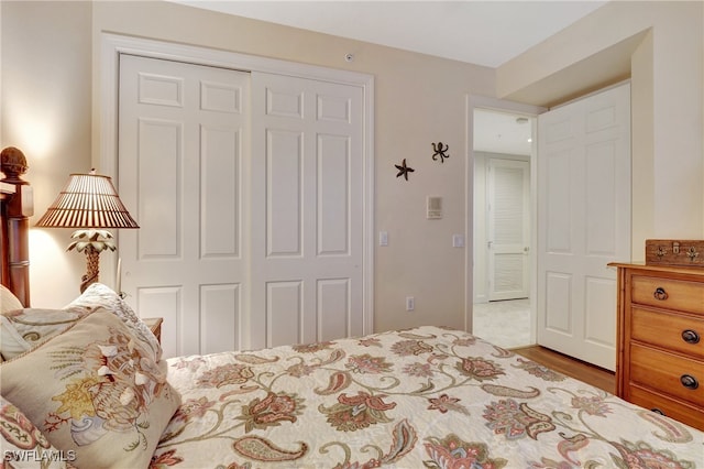 bedroom with wood-type flooring and a closet