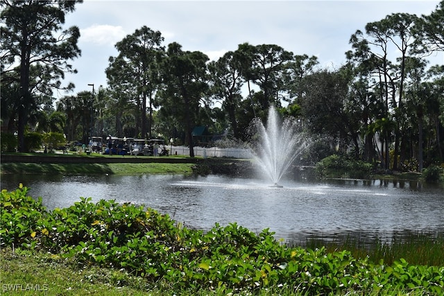 view of water feature