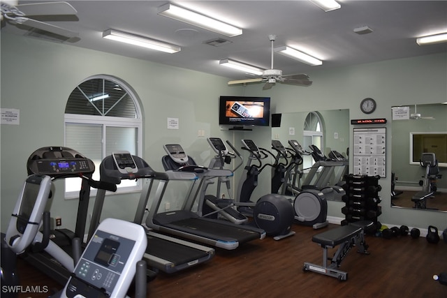 workout area featuring ceiling fan and dark hardwood / wood-style floors