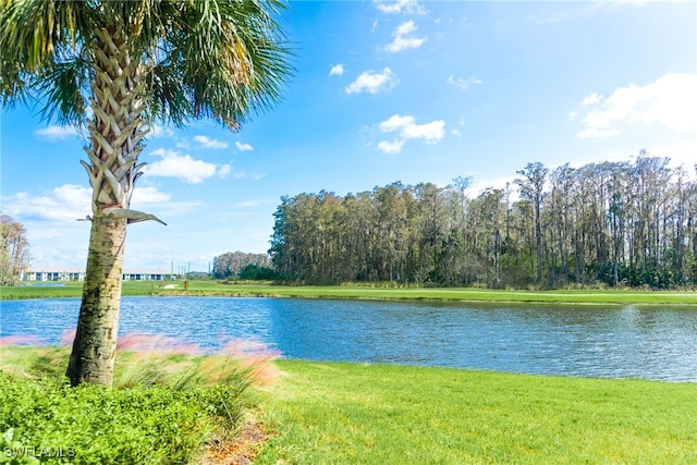 property view of water