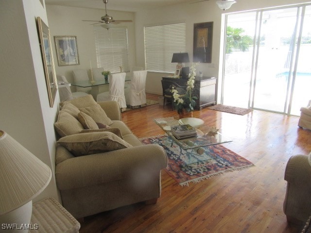 living room with hardwood / wood-style floors and ceiling fan