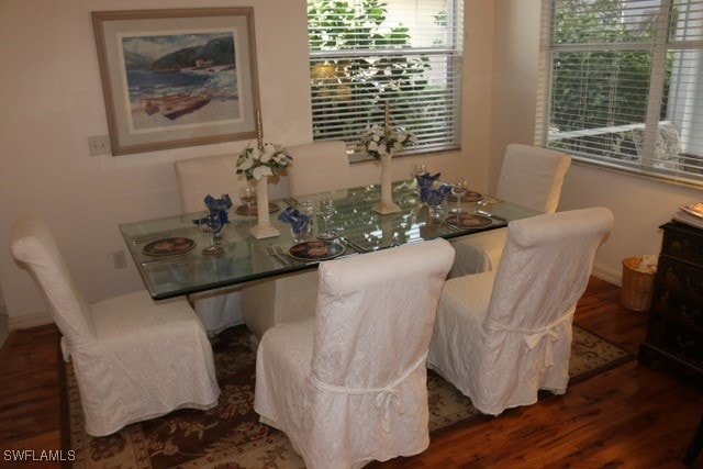 dining space featuring plenty of natural light and dark wood-type flooring