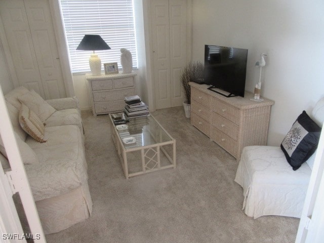 living room featuring light colored carpet