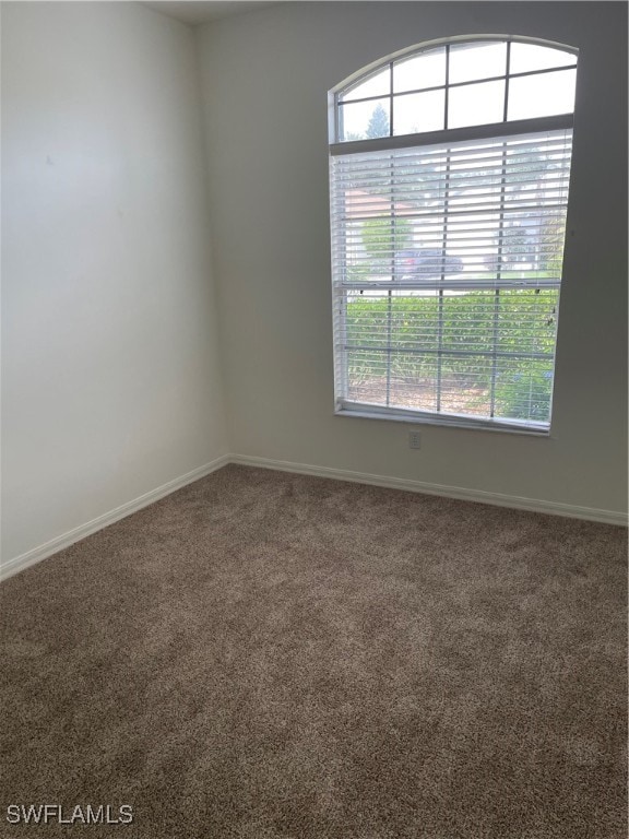 unfurnished room featuring a healthy amount of sunlight and carpet floors