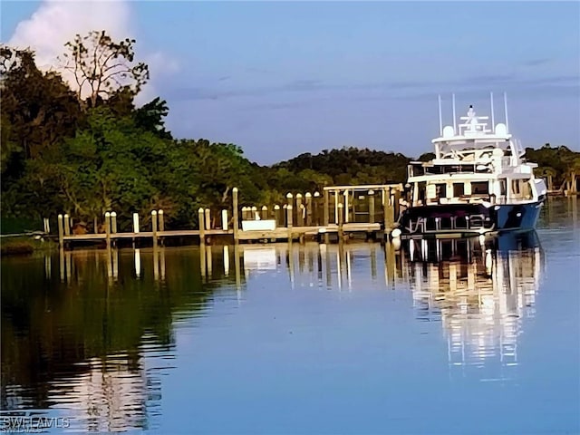 view of water feature with a boat dock