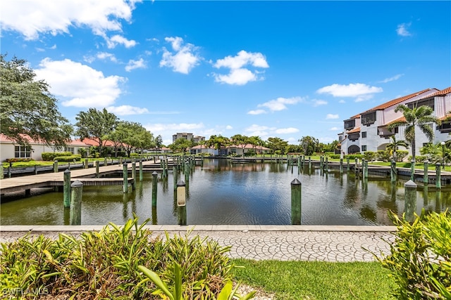 dock area with a water view